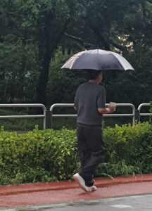 하루 30분 걷기를 한 달 동안 기록해보니 달라진 몸의 변화 (혈당·소화 실천 기록) 3 산책2